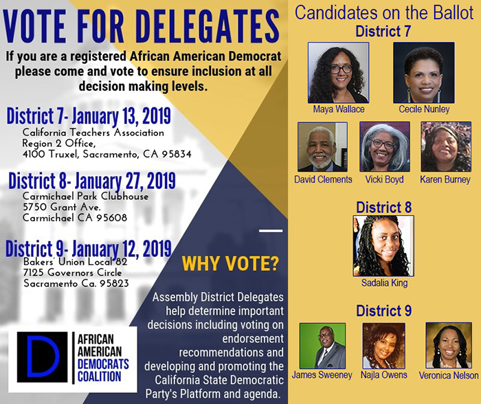 Vote For Delegates