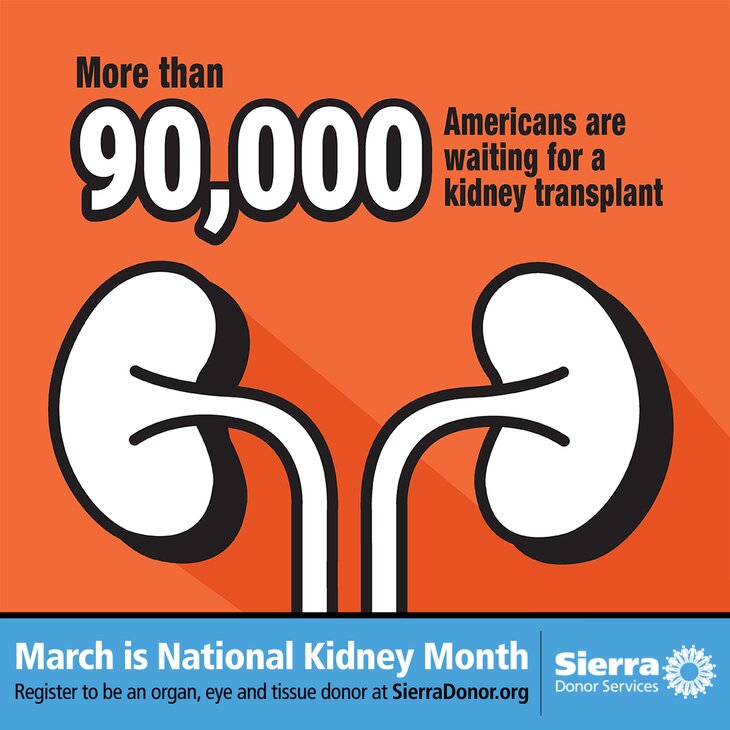 March is National Kidney Month 💙 Your Decision Could Save a Life
