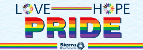 SDS-Pride-graphic-2026_resized-1-500x176 image